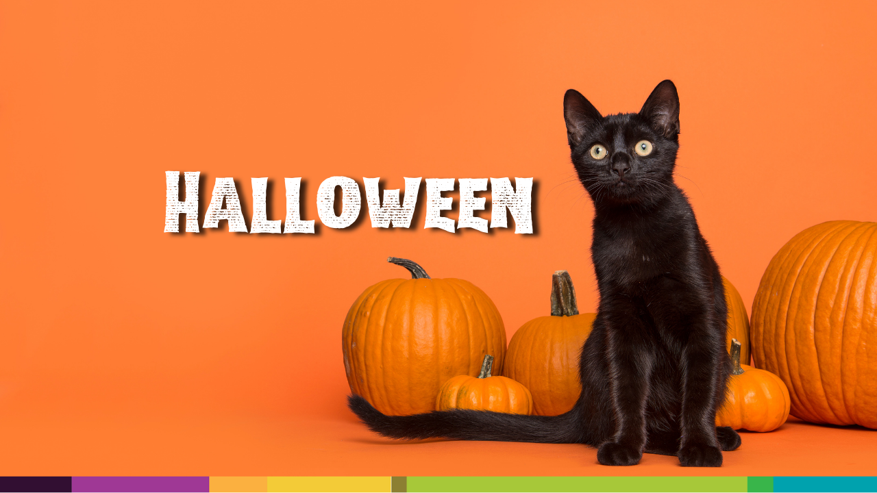 Halloween 2024
