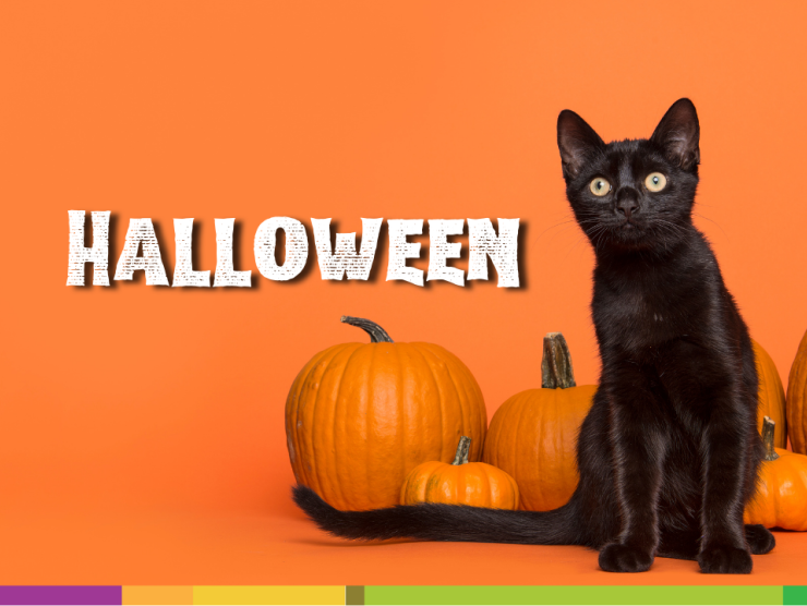 Halloween 2024