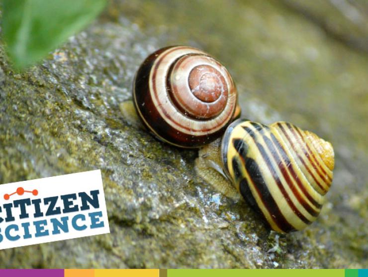 Citizen Science